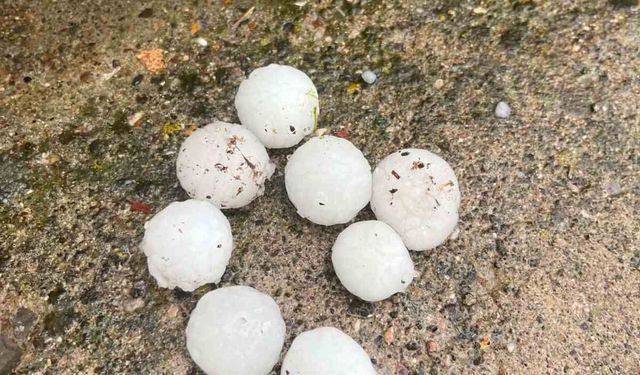 Ceviz büyüklüğünde yağan dolu ağaçlara zarar verdi