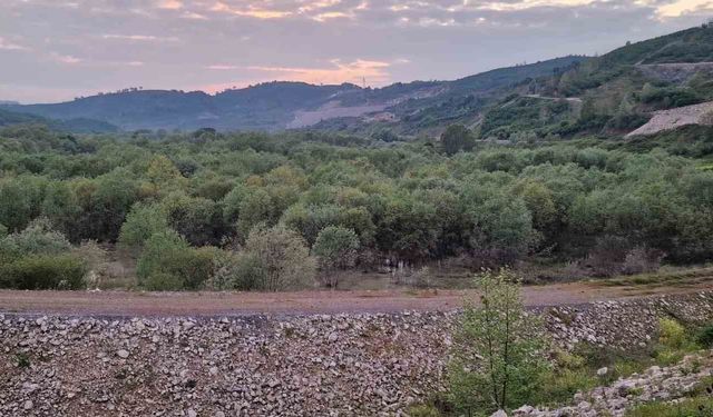 Düzce'de rafting botundan düşen kadının cansız bedeni Sakarya'da bulundu