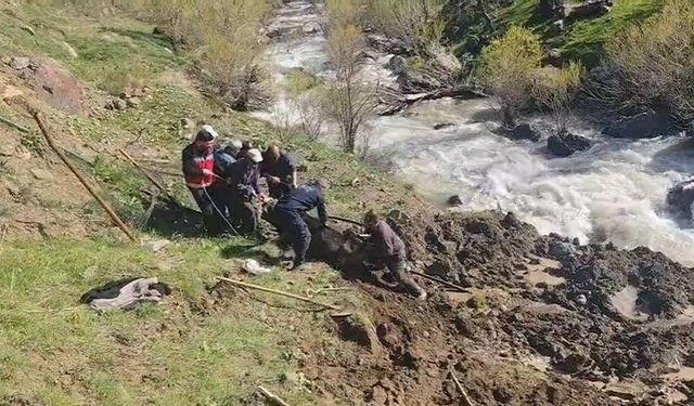 Hakkari'de bataklığa saplanan inek kurtarıldı