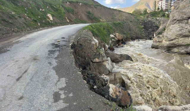 Hakkari'de iki mahalleyi bağlayan yol çöktü