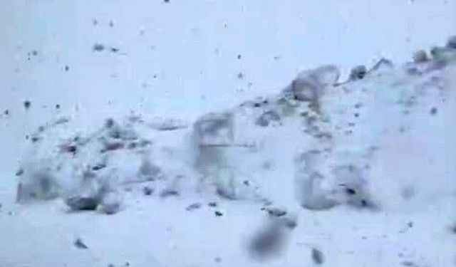 Hakkari'de mayıs ayında kar yağışı