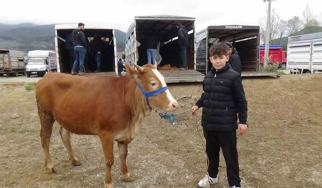 Hayvan pazarının en küçük celepçisi kurbanlık satıyor