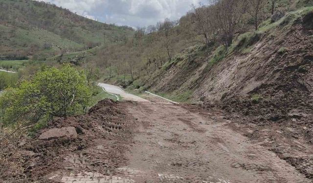 Heyelandan dolayı kapanan tabiat parkı yolu ulaşıma açıldı