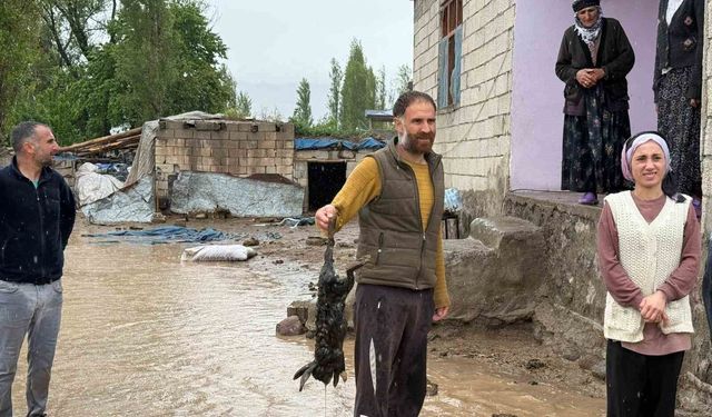 Iğdır'da sağanak sele dönüştü: Karakuyu köyünde evler ve araziler sular altında kaldı