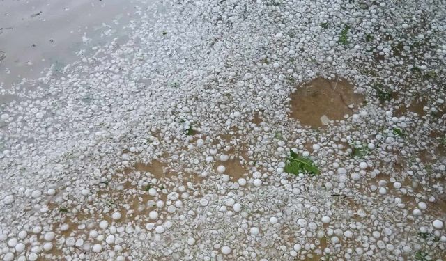 Kırklareli'nde şiddetli dolu yağışı: Köy ve çevresi beyaz örtüyle kaplandı