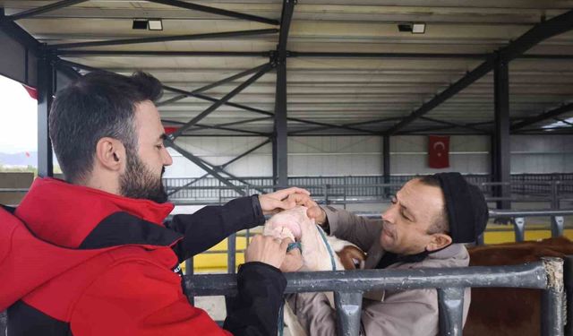 Kurbanlık denetimleri sürüyor