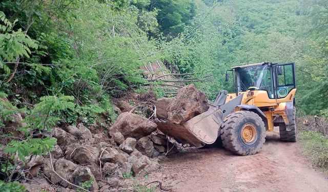 Ordu'da 24 saatte 214 heyelan meydana geldi