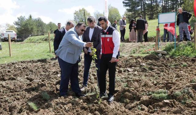Pazarlar'da atıl durumdaki hazine arazisi tarıma kazandırıldı