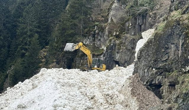 Rize'de yayla yollarında kar temizleme çalışmaları sürüyor