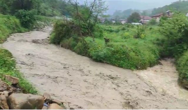 Sağanak sonrası derelerdeki su seviyeleri yükseldi