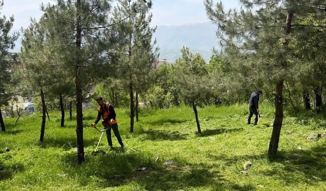 Şırnak'ta mezarlık ve yeşil alanlarda temizlik çalışması