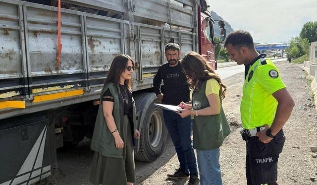Tercan'da kurbanlık hayvan sevkiyatlarına sıkı denetim