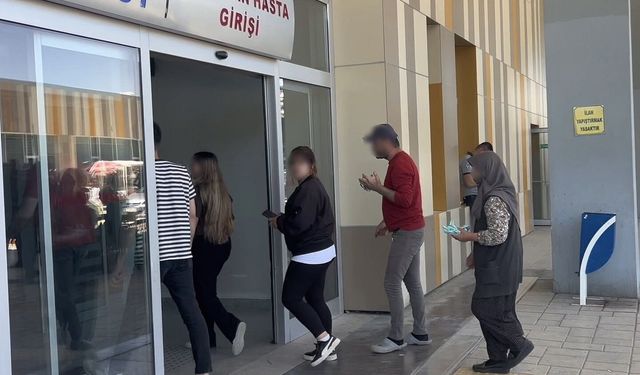 Van'da 171 acemi kasap hastanelik oldu