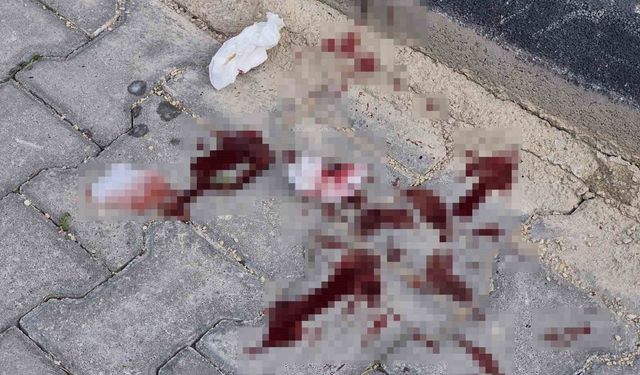 16 yaşındaki çocuk caddede bacağından bıçaklandı