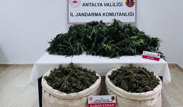 Antalya'da uyuşturucu operasyonunda 11 kilo 100 gram kubar esrar ele geçirildi