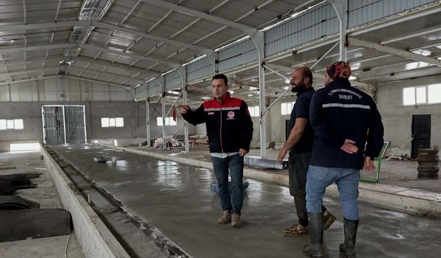 Aydıntepe'deki hayvancılık işletmelerinde kapasite değerlendirmesi yapılıyor