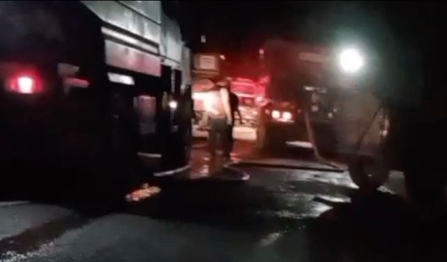 Ayvalık'ta fıstık çamı arazisinde çıkan yangın ormana sıçradı