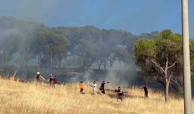 Balıkesir Ayvalık'ta çıkan örtü yangınına müdahale ediliyor