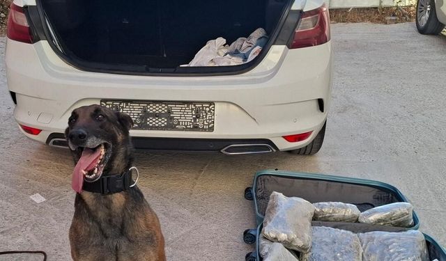 Balıkesir polisinden 'Narkorekor'