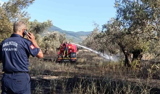 Balıkesir Ziraat Odası Başkanı Demirbay: 'Bir yıllık emek bir sigara izmaritiyle kül olmasın'
