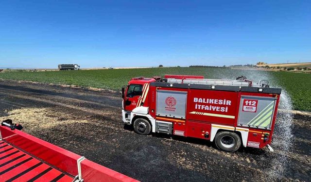 Bandırma'da anız ve ekili alanda çıkan yangın söndürüldü