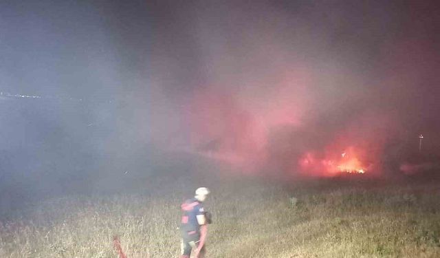 Bandırma'da eski askeri çamlıkta çıkan yangın söndürüldü