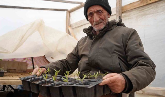Bayburtlu çiftçi 'memleket meselesi' gördüğü ata tohumlarını gelecek kuşaklar için çoğaltıyor