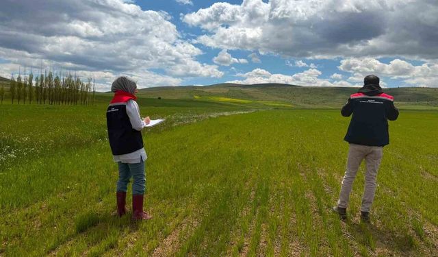 Bayburt'ta ÇKS ürün beyanı kontrolleri başladı