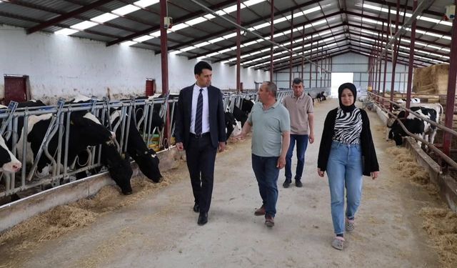 Beylikova Kaymakamı Kantilav, hayvancılık faaliyetlerini inceledi