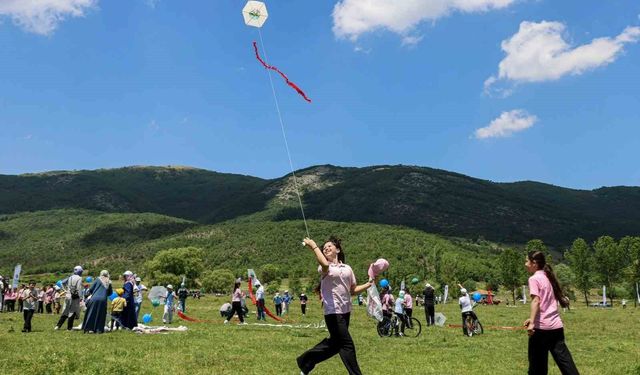 Bilecik'te gökyüzü uçurtmalarla renklendi