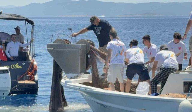 Bodrum'da 2 bin metrekare hayalet ağ temizlendi, binlerce yavru balık doğaya bırakıldı