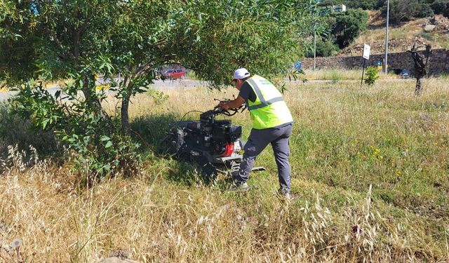 Bodrum'da ot temizliği çalışmaları tüm hızıyla devam ediyor