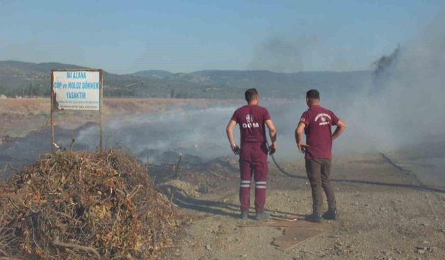 Burhaniye'de Karınca Deresinde çıkan ot yangını 3 saatte söndürüldü