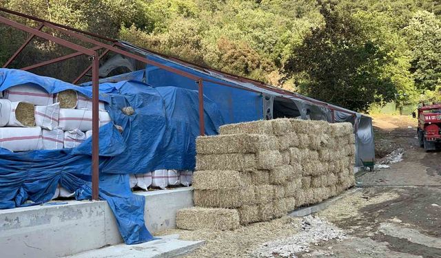 Bursa'daki orman yangınında 1 kişi gözaltına alındı