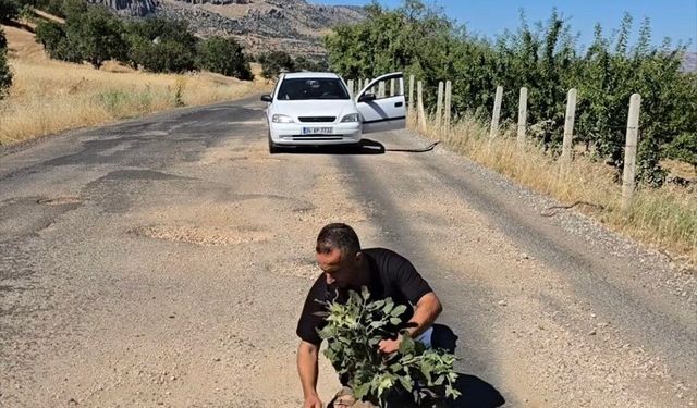 Çermik'te oluşan çukurlara ağaç dikerek yolların yapılmamasını protesto ettiler