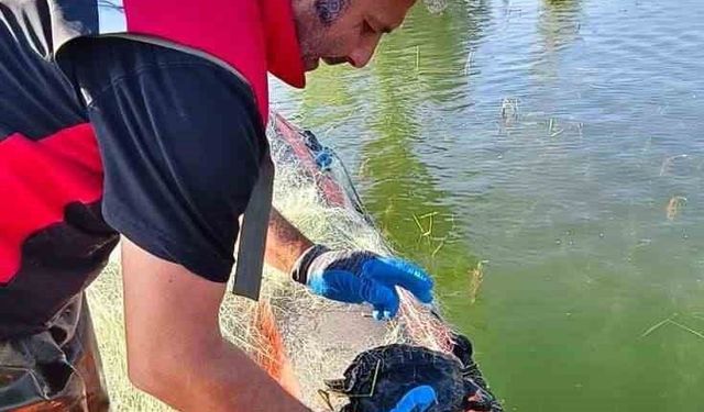 Çorum Barajı'nda 2 bin 800 metre ağ ele geçirildi