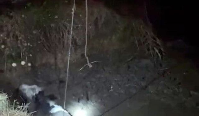 Çukura düşen ineği itfaiye kurtardı