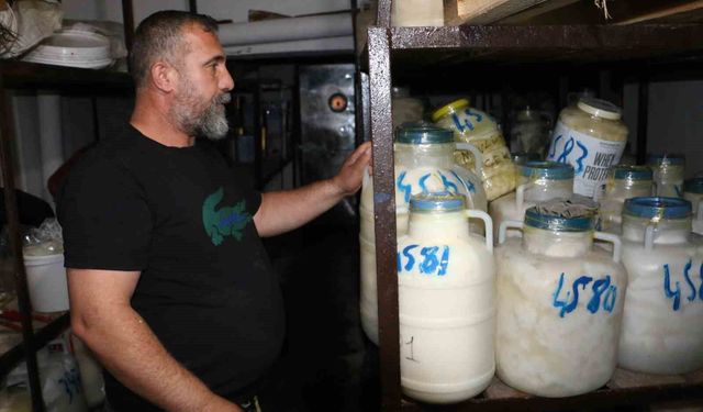 Diyarbakır'da kışlık peynir mesaisi başladı