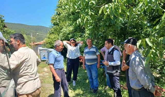 Dolu yağışı sonrası sahada zarar tespiti yapıldı