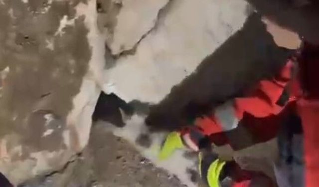 Duvara sıkışan kediyi itfaiye kurtardı