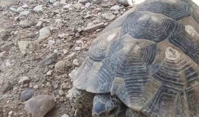 Edirne'de Çevre Haftası'nda gülümseten görüntü