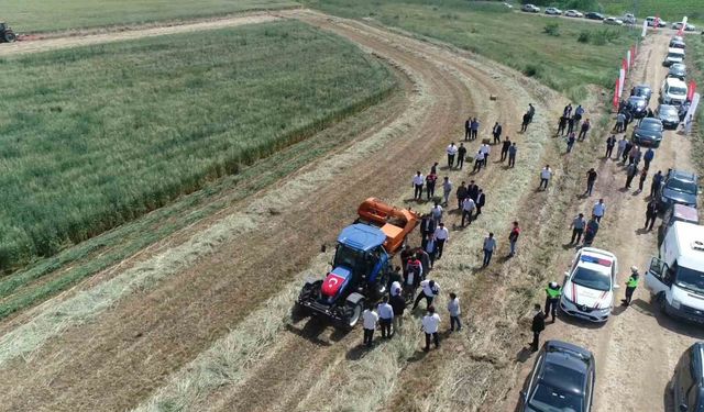 Edirne'de meralarda yeni model: Üretimden elde edilen gelir yine meraya yatırılacak