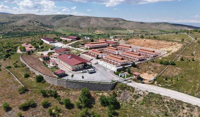 Elazığ Belediyesi Hayvan Bakım Merkezi'nde 9 yılda 15 bin 368 hayvan tedavi edildi