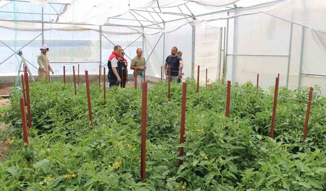Erzincan'da seracılık yatırımları üretimi artırıyor