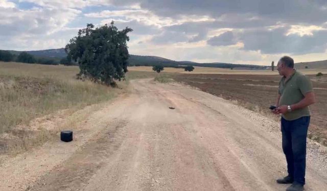 Eskişehir'de kaybolan gebe inek dron ile aranıyor