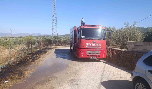 Gaziantep'te zeytinlik alanda yangın