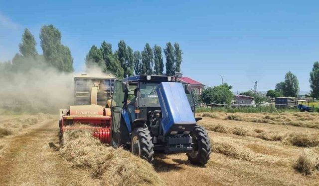 Hasköy'de çiftçilerin kışlık yem mesaisi sürüyor