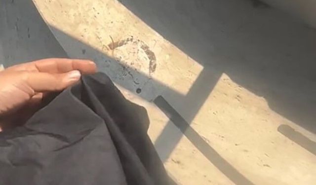 Havuzda tesettür mayo yasağında site görevlisi tutuklandı