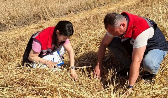 Hayrabolu'da biçerdöver denetimleri sürüyor