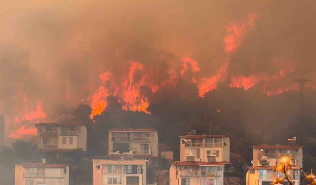 İzmir'de makilik alandaki yangın büyük ölçüde kontrol altına alındı
